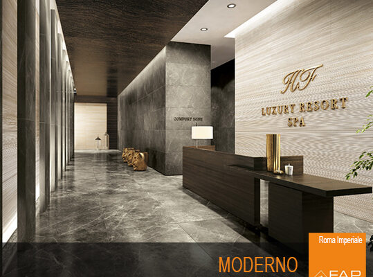 Fap_Ceramiche_roma_contract_5