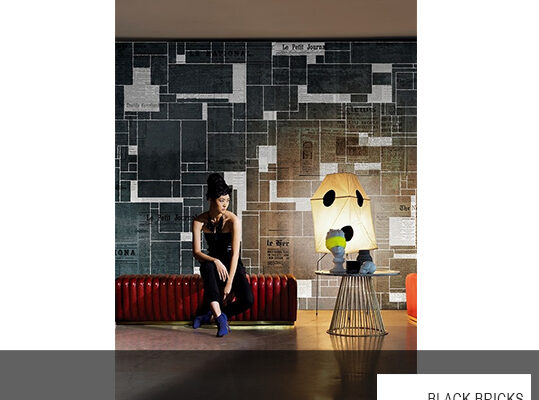 BLACK BRICKS